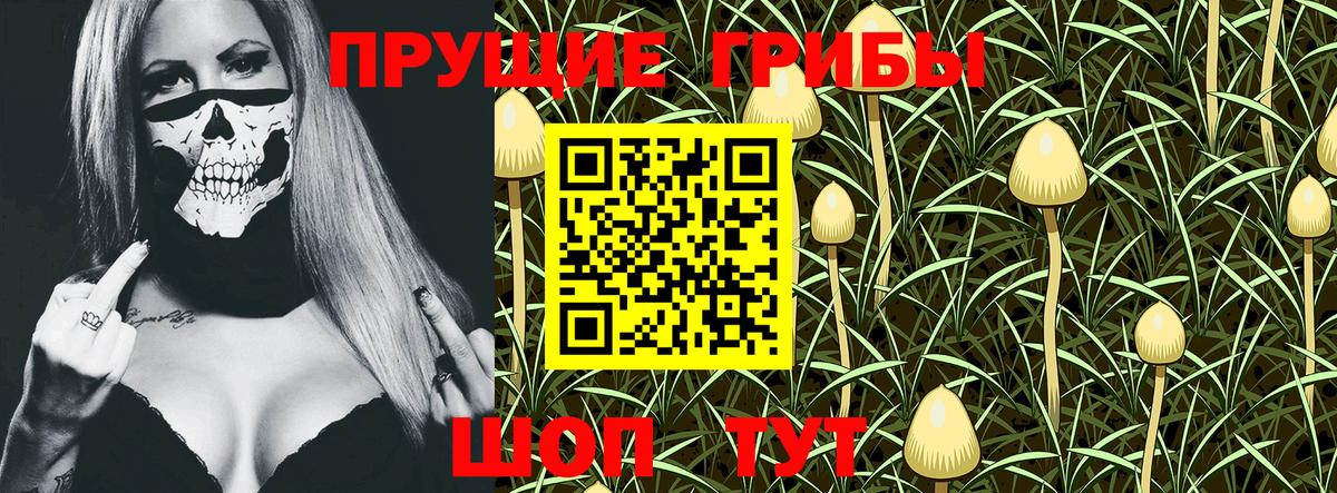 Псилоцибиновые грибы Psilocybine cubensis Муравленко